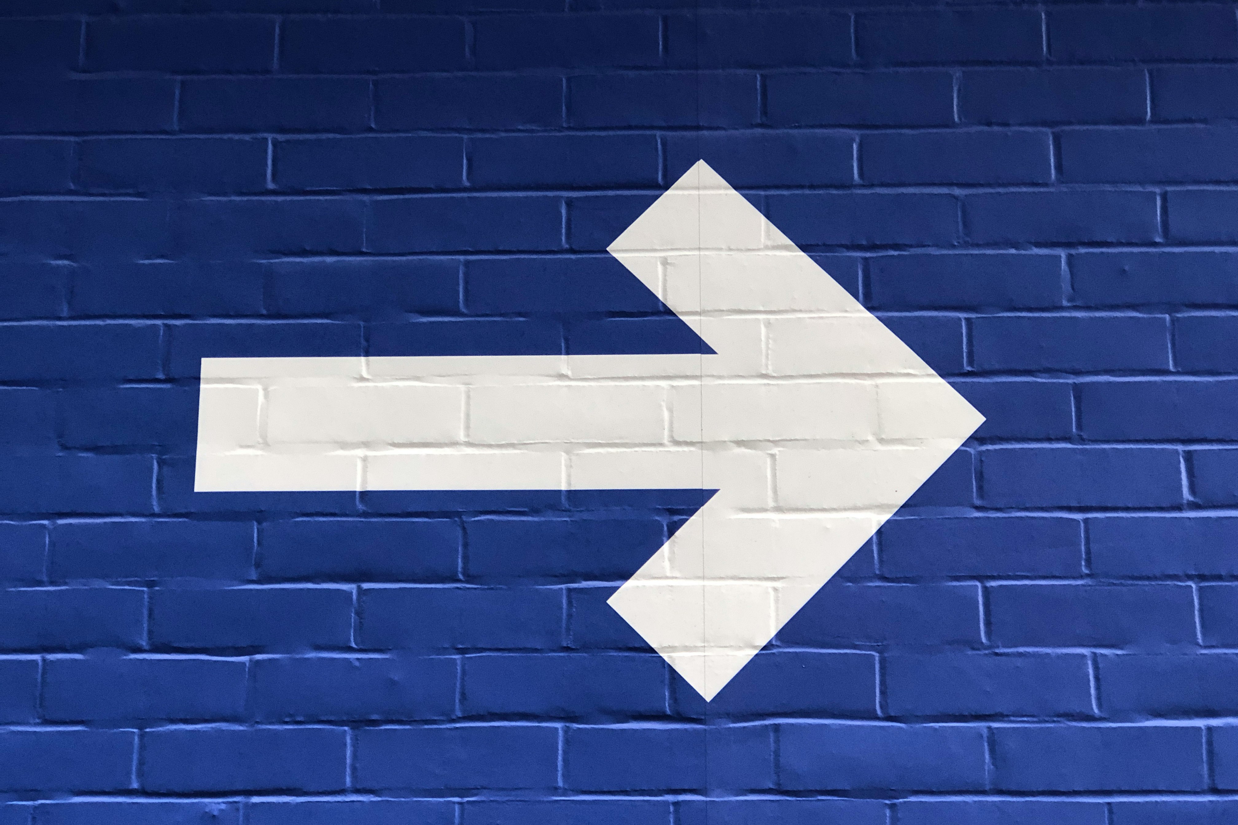 Navigating Uncertainty with Strategic Clarity: Twist Bioscience Case Study